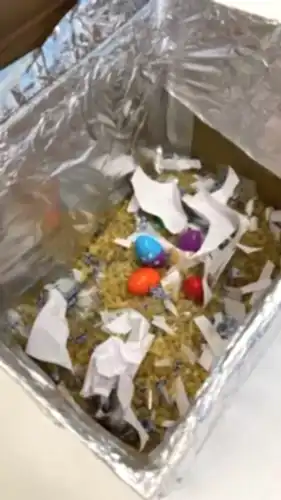 проведение квеста